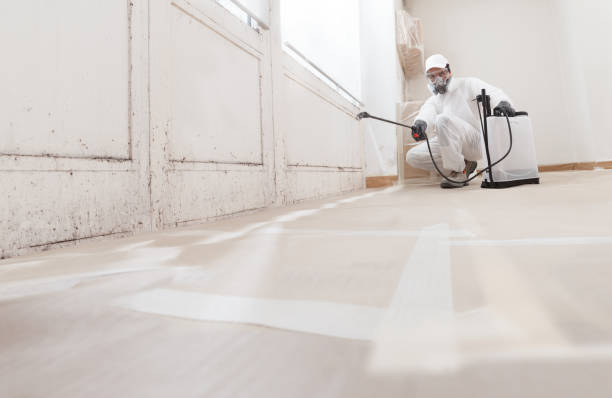 24/7 Emergency Mold Removal experts in Algonquin, MD